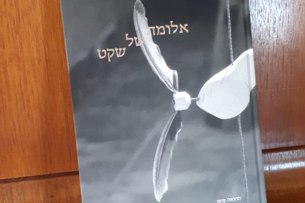 Rayon de silence – אלומה של שקט